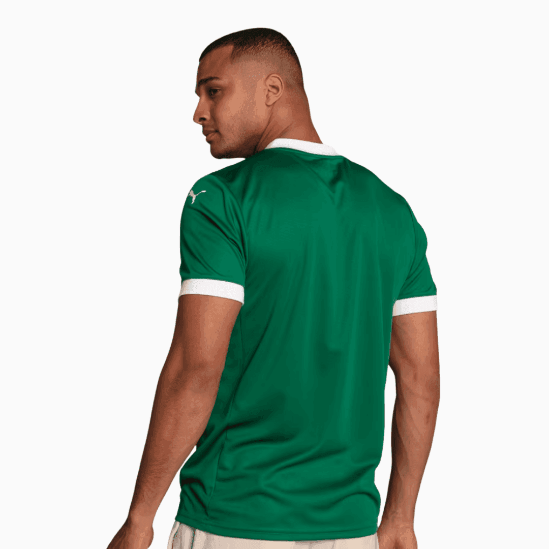 Camisa Puma Palmeiras 2025/26 I - Gómes N° 15