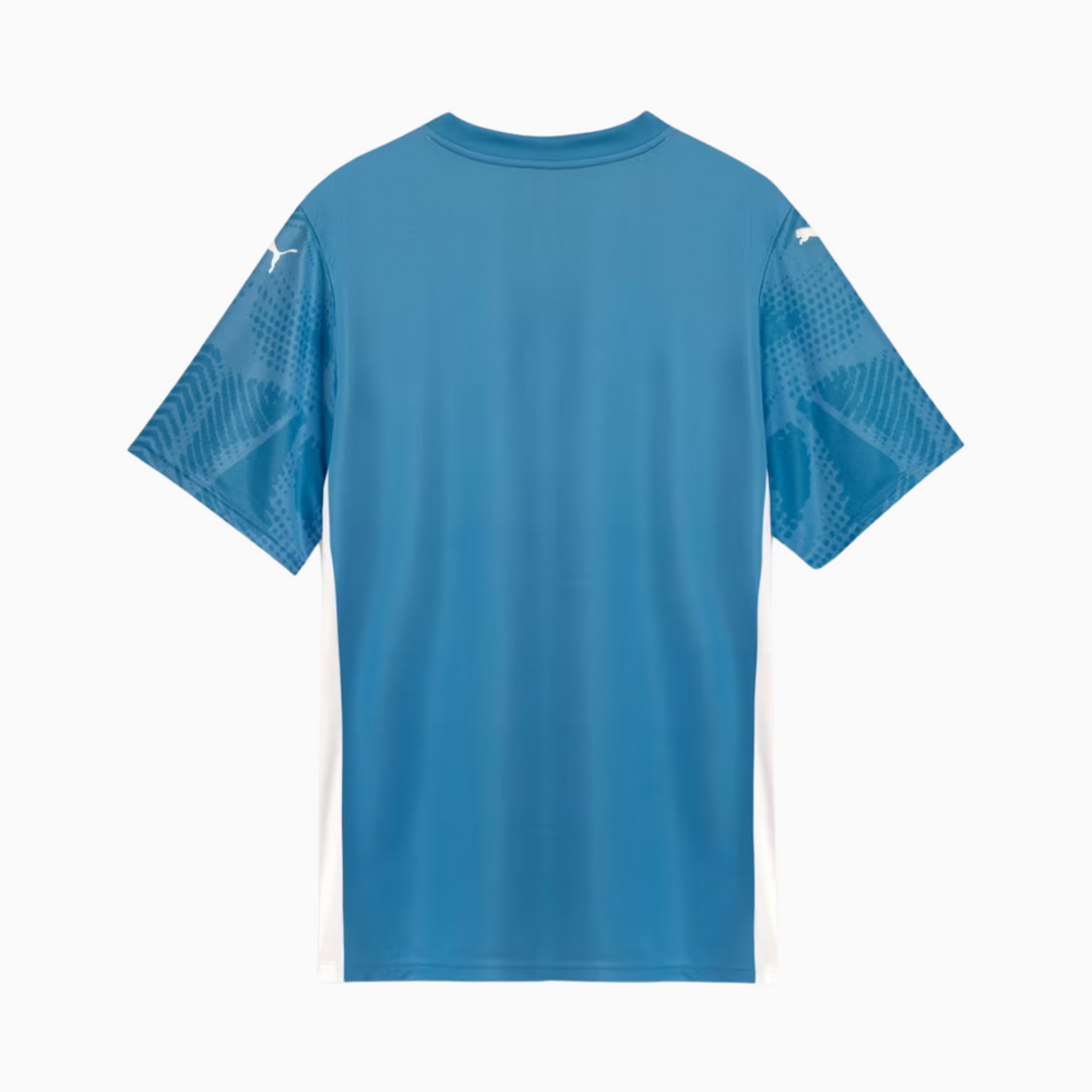 Camisa Goleiro Palmeiras 2025 I – Torcedor